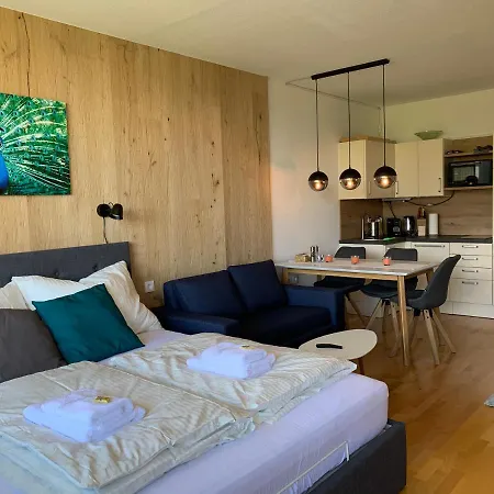 Alpenblick 바드고이세른