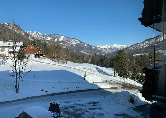 Alpenblick Appartement Bad Goisern