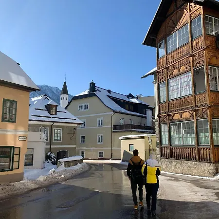 Daire Alpenblick Bad Goisern